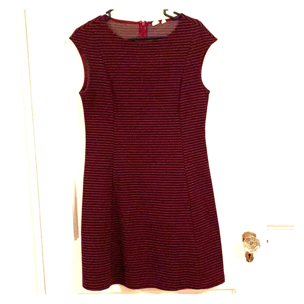 Red & Blue Gap Dress